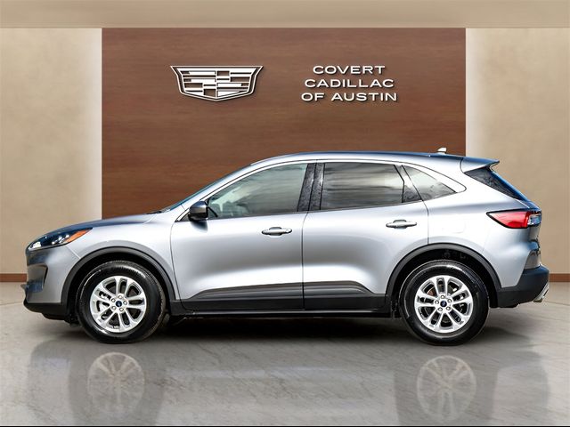 2021 Ford Escape Hybrid SE