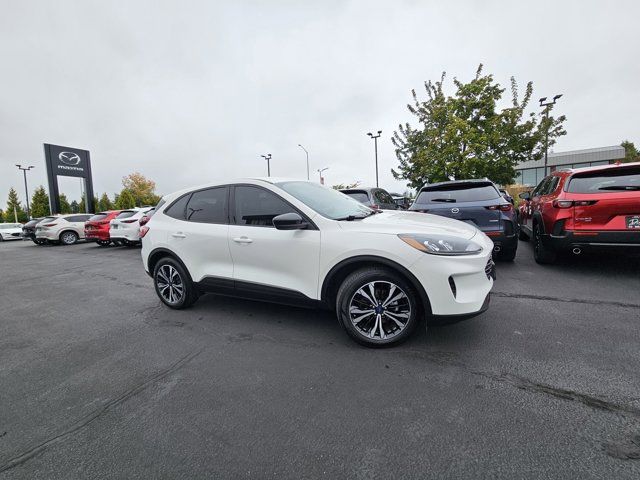 2021 Ford Escape Hybrid SE