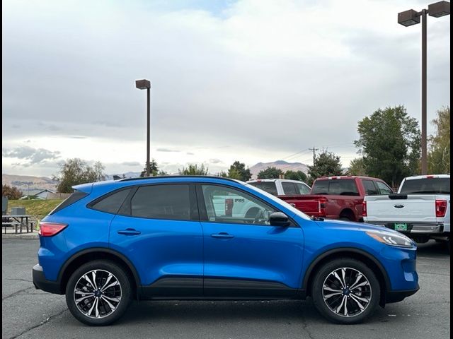 2021 Ford Escape Hybrid SE