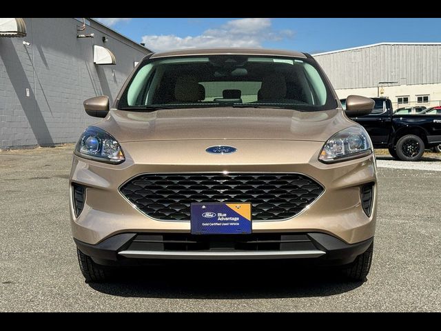 2021 Ford Escape Hybrid SE