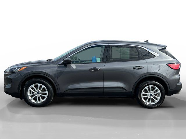 2021 Ford Escape Hybrid SE