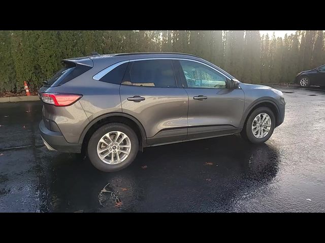 2021 Ford Escape Hybrid SE