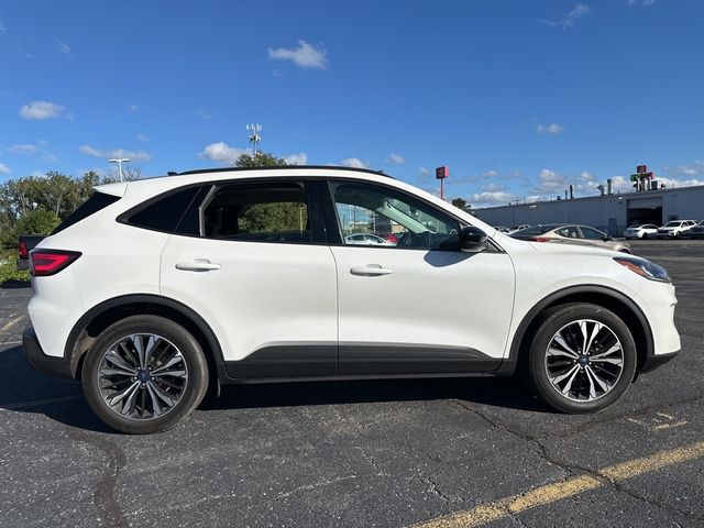 2021 Ford Escape Hybrid SE