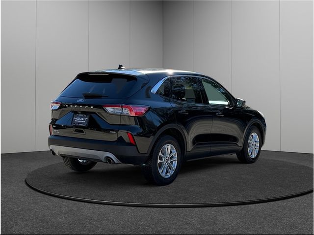 2021 Ford Escape Hybrid SE