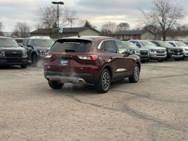 2021 Ford Escape Plug-In Hybrid SE