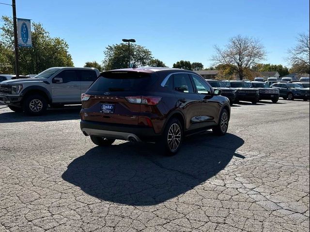 2021 Ford Escape Plug-In Hybrid SE