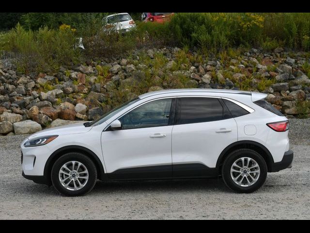 2021 Ford Escape Hybrid SE