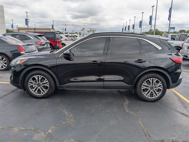 2021 Ford Escape Hybrid SEL