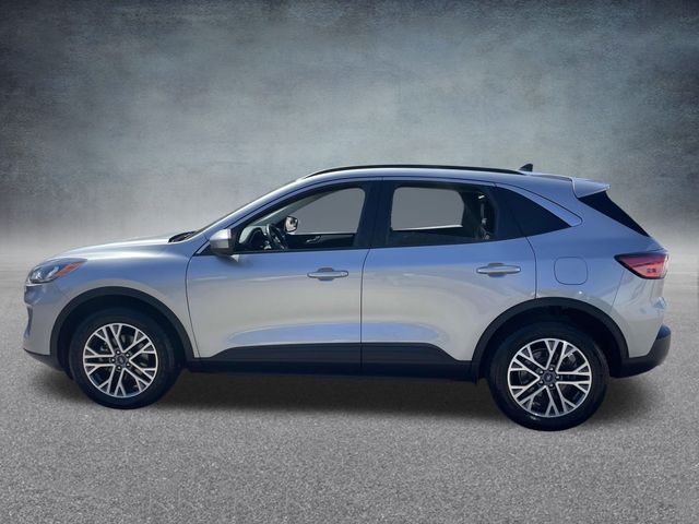 2021 Ford Escape Hybrid SEL