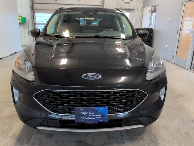 2021 Ford Escape Hybrid SEL