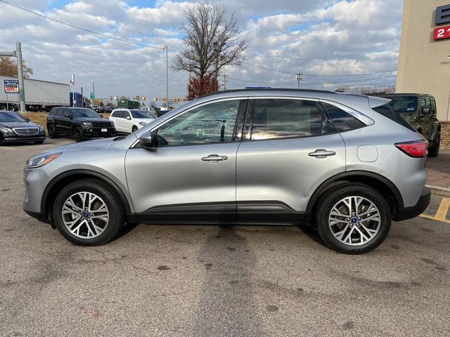 2021 Ford Escape Hybrid SEL