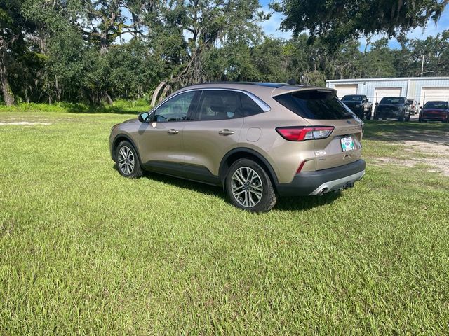 2021 Ford Escape Hybrid SEL