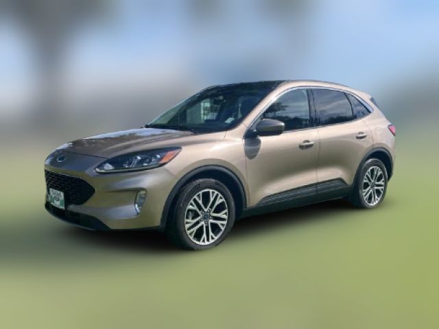 2021 Ford Escape Hybrid SEL