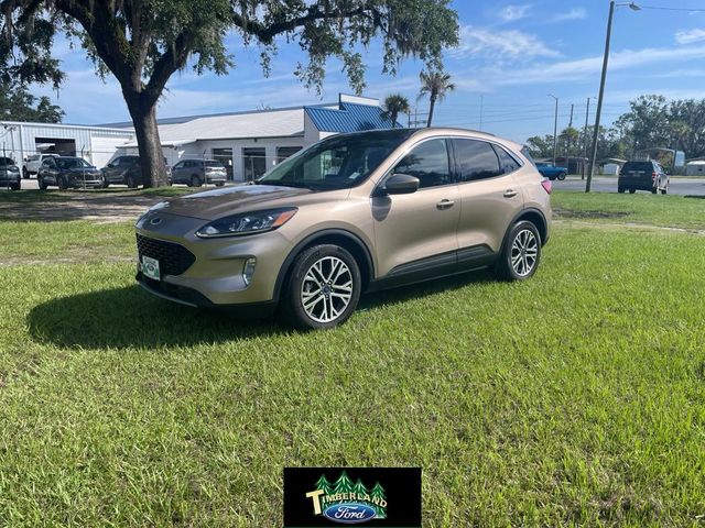 2021 Ford Escape Hybrid SEL