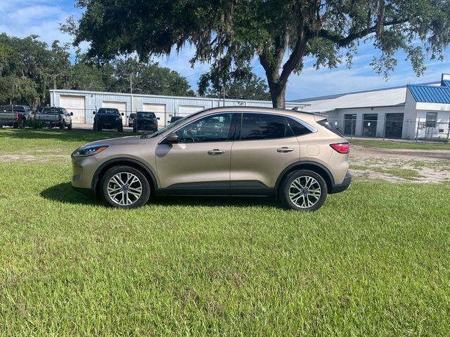 2021 Ford Escape Hybrid SEL