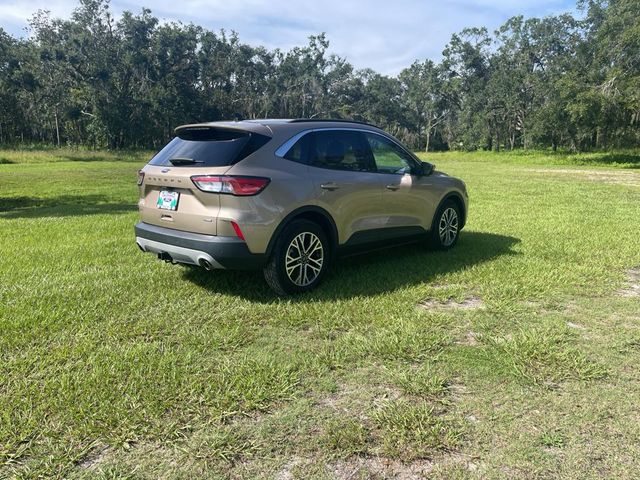 2021 Ford Escape Hybrid SEL