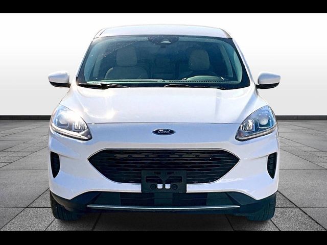 2021 Ford Escape Hybrid SE