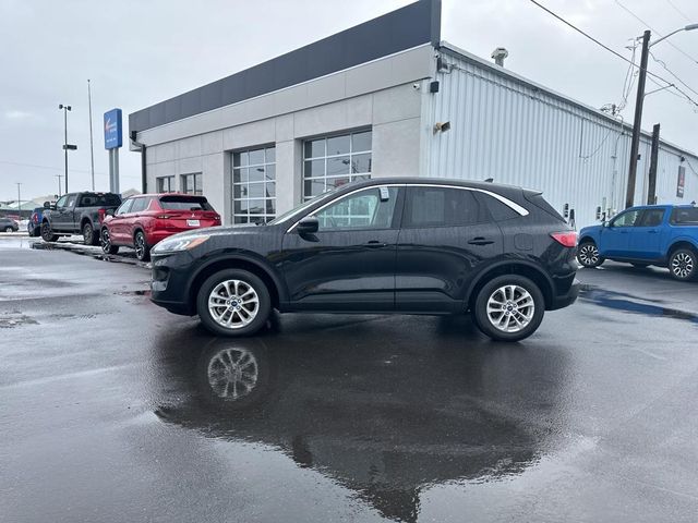 2021 Ford Escape Hybrid SE