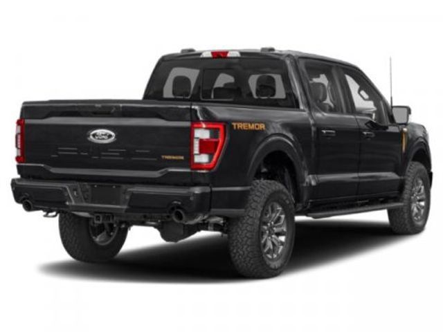 2021 Ford F-150 Tremor