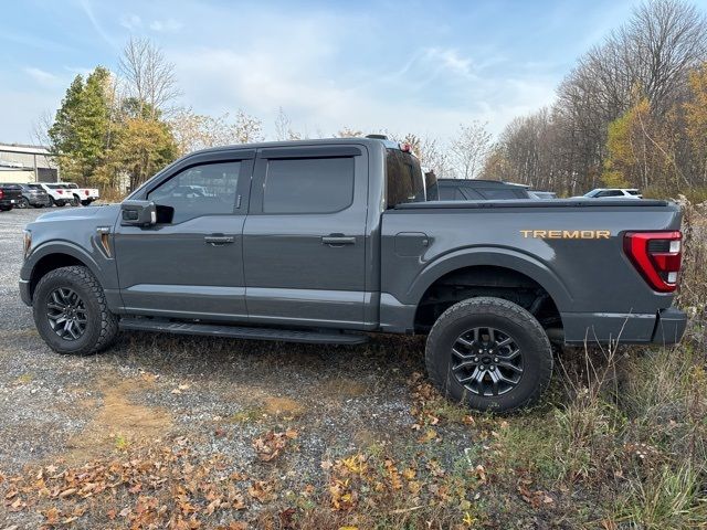 2021 Ford F-150 Tremor