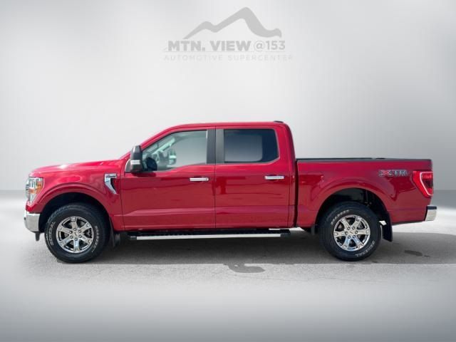 2021 Ford F-150 XLT