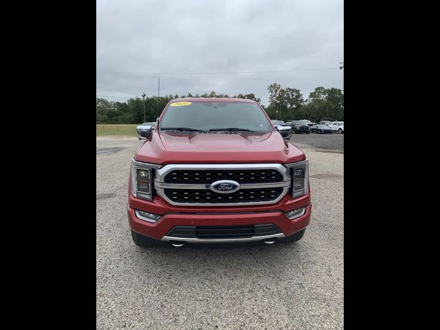 2021 Ford F-150 Platinum