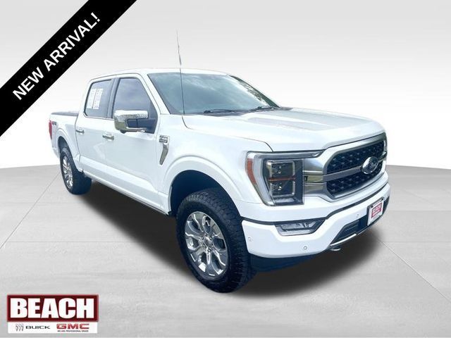 2021 Ford F-150 Platinum