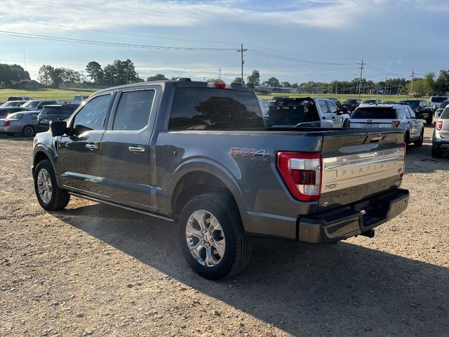 2021 Ford F-150 Platinum