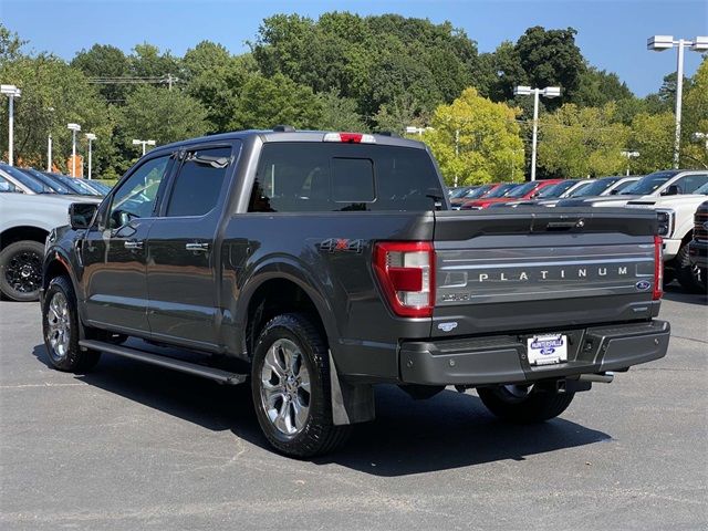 2021 Ford F-150 Platinum