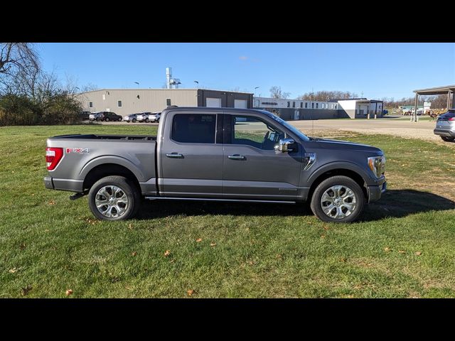 2021 Ford F-150 Platinum