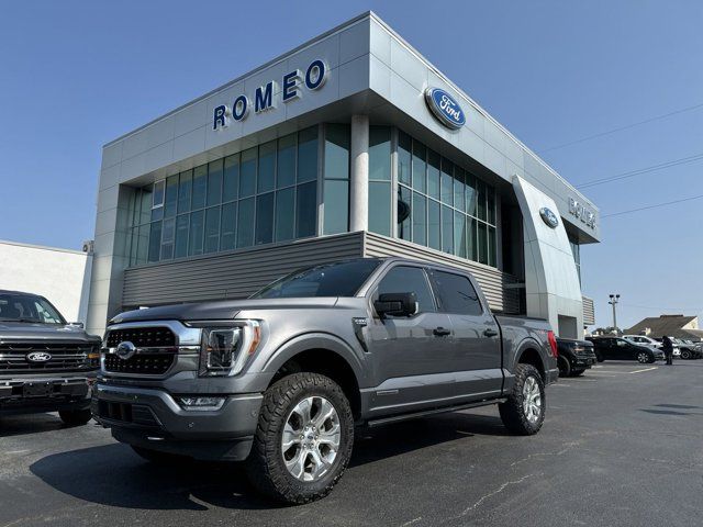 2021 Ford F-150 Platinum