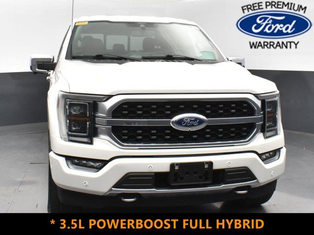 2021 Ford F-150 Platinum