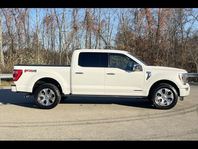 2021 Ford F-150 Platinum