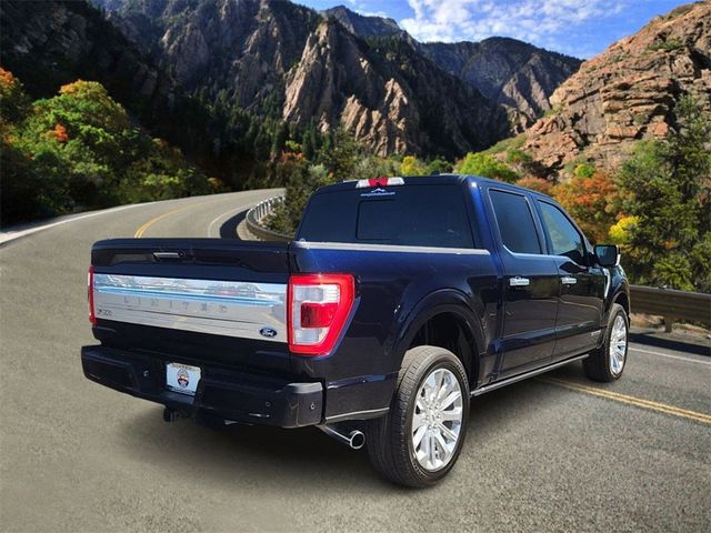 2021 Ford F-150 Platinum