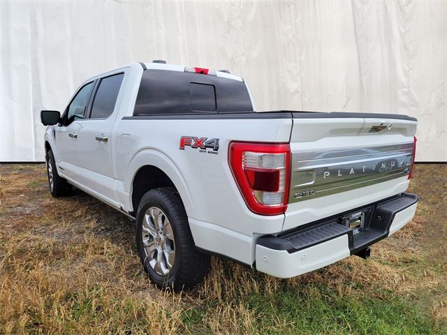 2021 Ford F-150 Platinum