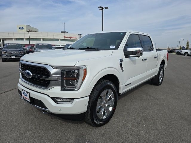 2021 Ford F-150 Platinum