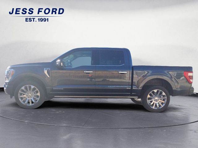 2021 Ford F-150 Limited