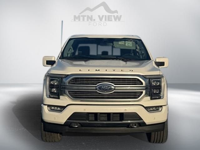 2021 Ford F-150 Limited