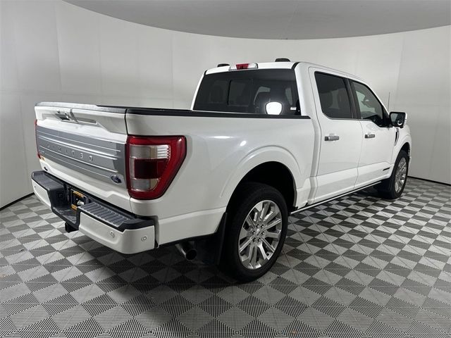 2021 Ford F-150 Platinum