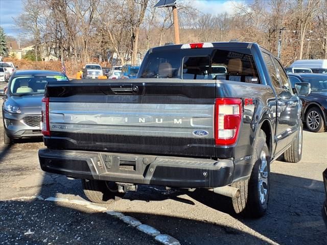 2021 Ford F-150 Platinum