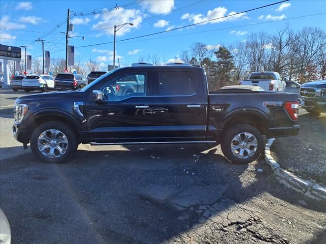 2021 Ford F-150 Platinum