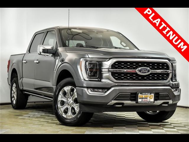 2021 Ford F-150 Platinum