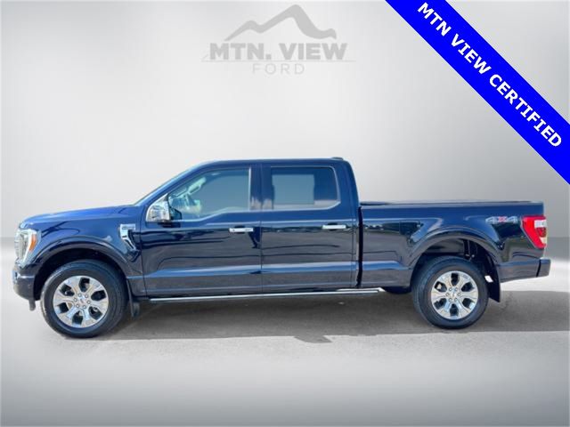 2021 Ford F-150 Platinum