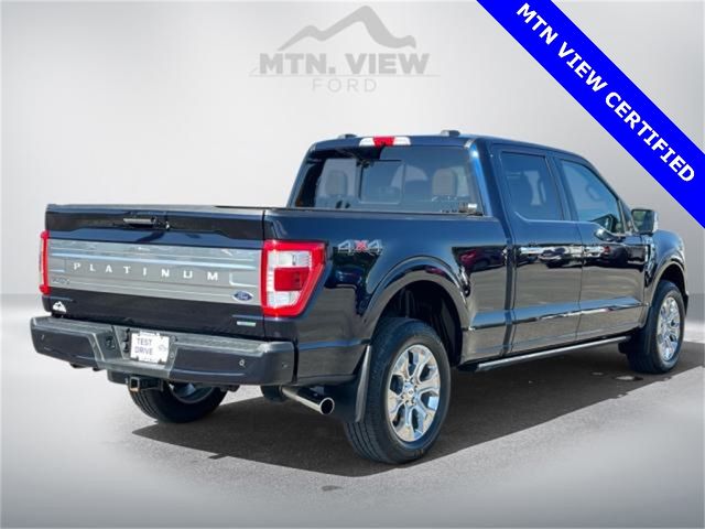 2021 Ford F-150 Platinum