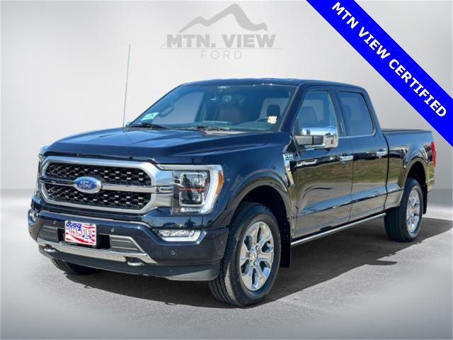 2021 Ford F-150 Platinum