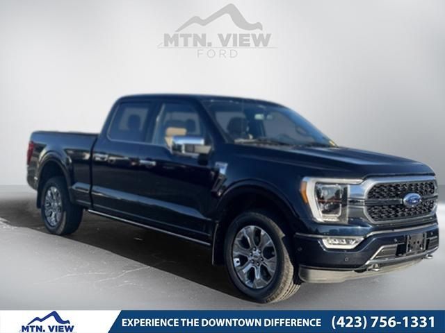 2021 Ford F-150 Platinum