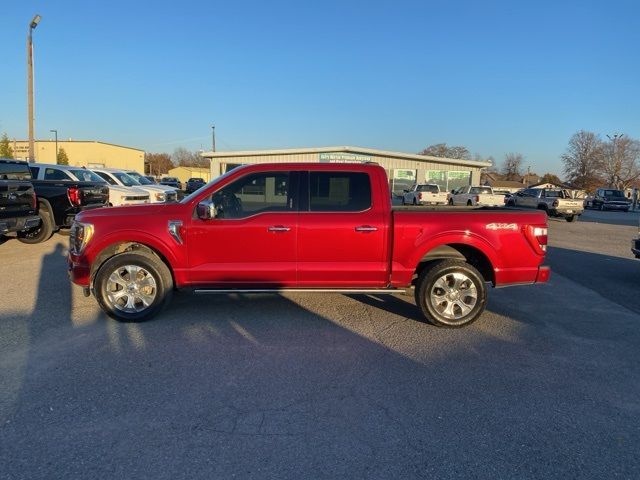 2021 Ford F-150 Platinum