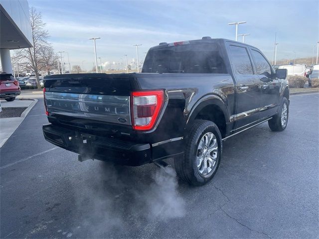 2021 Ford F-150 Platinum