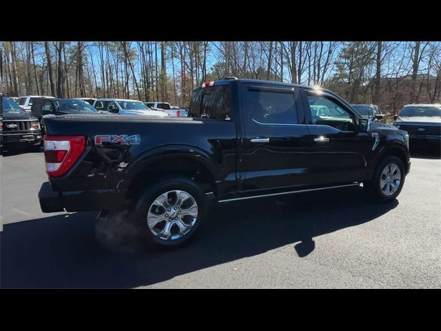 2021 Ford F-150 Platinum