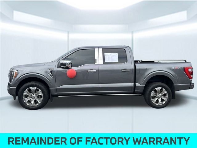 2021 Ford F-150 Platinum